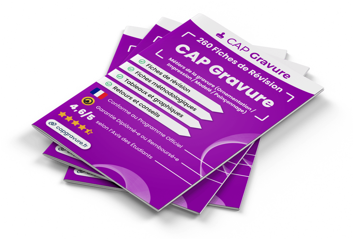 Image produit fiches-de-revision